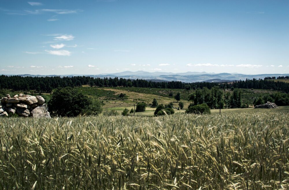 Déménagement Occitanie : votre spécialiste du déménagement dans toute la région