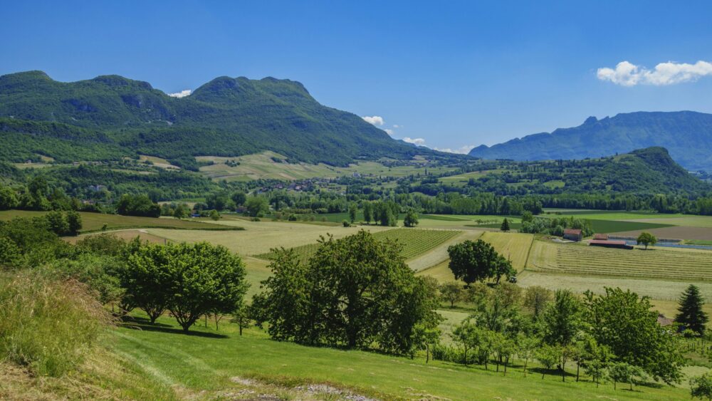 Biard Déménagements, votre déménageur dans le Rhône et en Auvergne-Rhône-Alpes